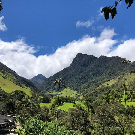 Cabanas Valle Del Cocora La Truchera Саленто Екстер'єр фото