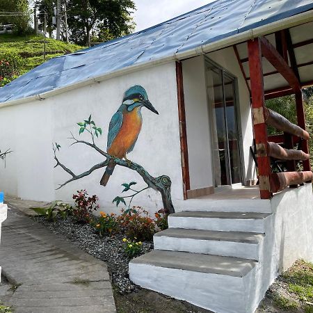 Cabanas Valle Del Cocora La Truchera Саленто Екстер'єр фото