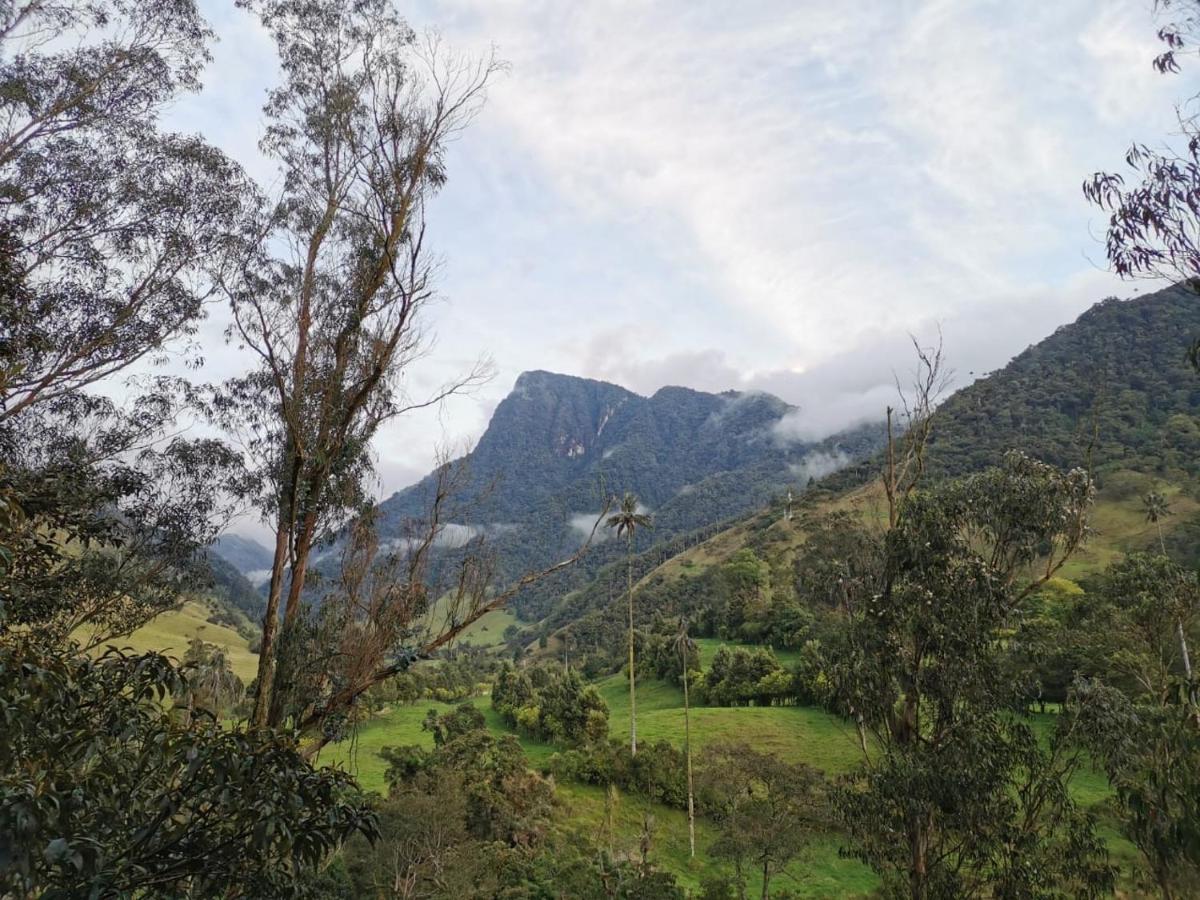 Cabanas Valle Del Cocora La Truchera Саленто Екстер'єр фото