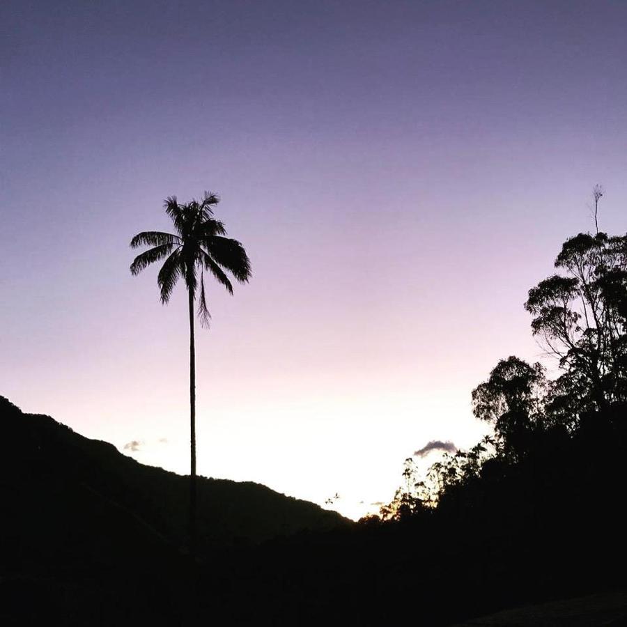 Cabanas Valle Del Cocora La Truchera Саленто Екстер'єр фото