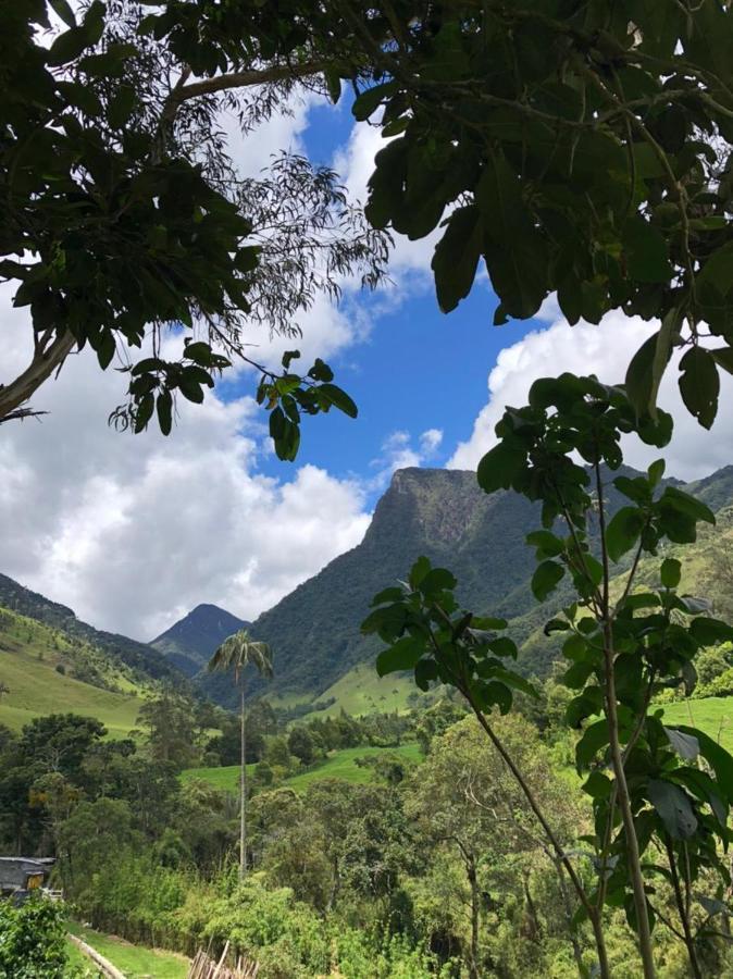 Cabanas Valle Del Cocora La Truchera Саленто Екстер'єр фото