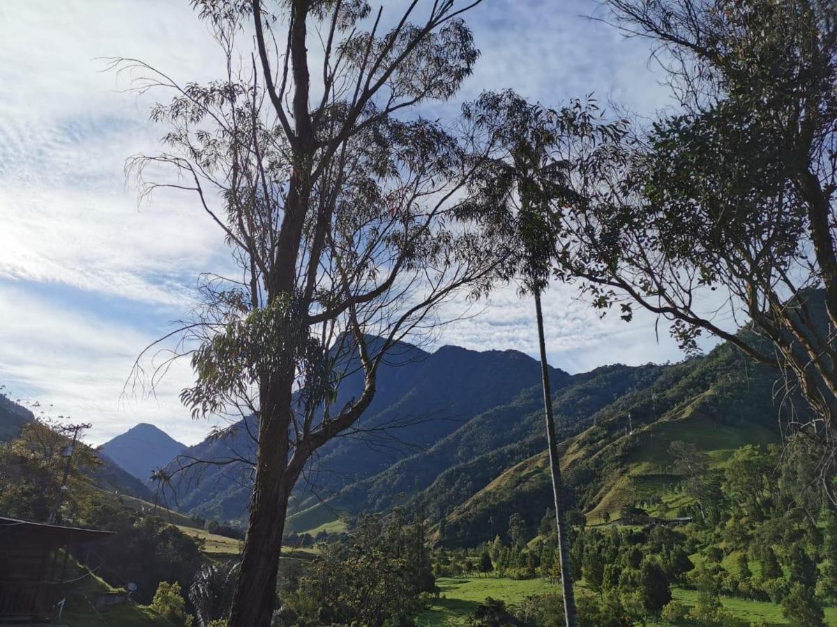 Cabanas Valle Del Cocora La Truchera Саленто Екстер'єр фото
