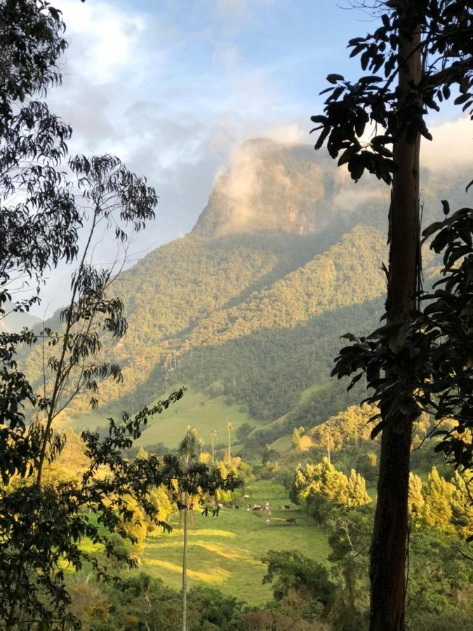Cabanas Valle Del Cocora La Truchera Саленто Екстер'єр фото