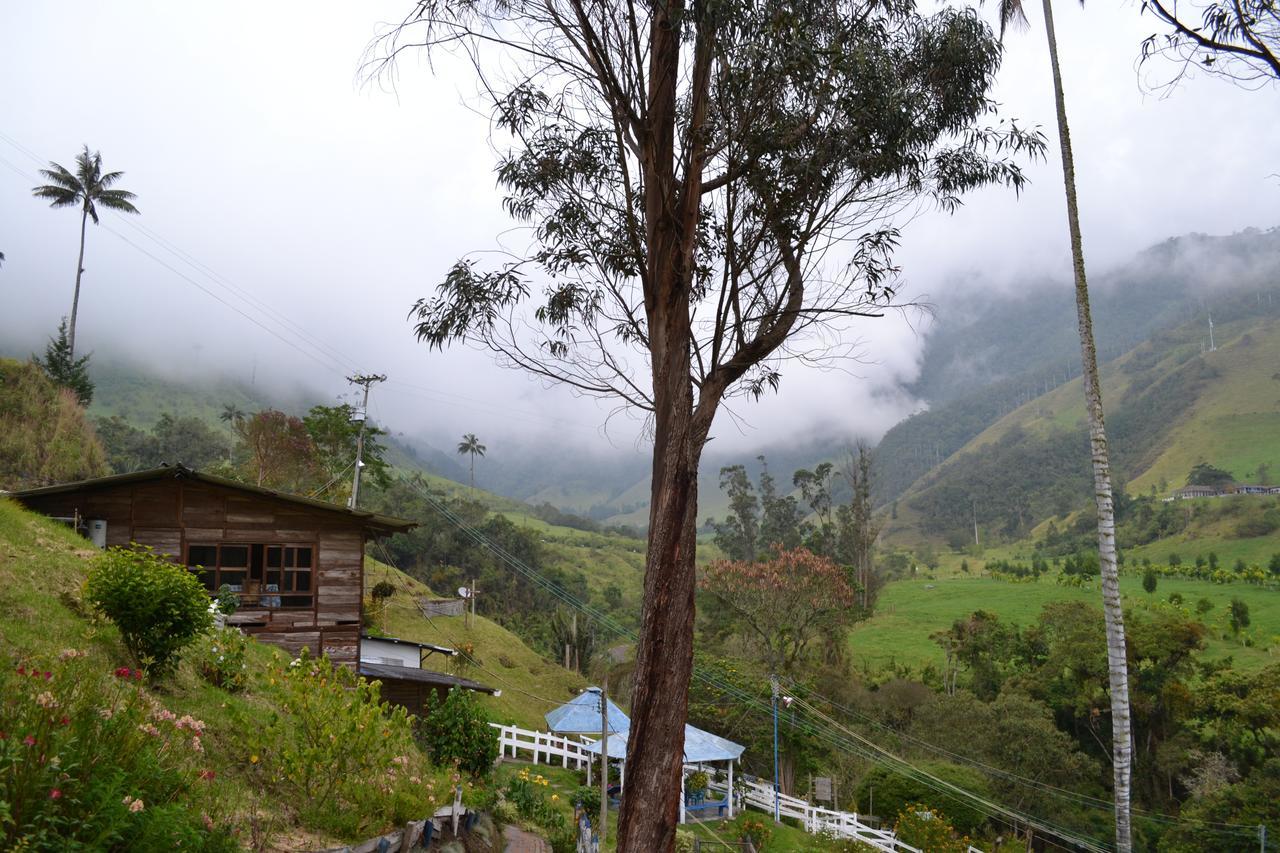 Cabanas Valle Del Cocora La Truchera Саленто Екстер'єр фото