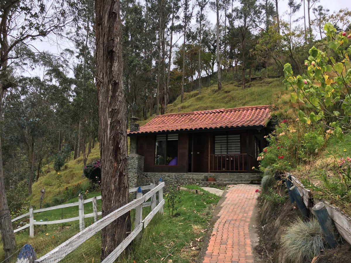 Cabanas Valle Del Cocora La Truchera Саленто Екстер'єр фото