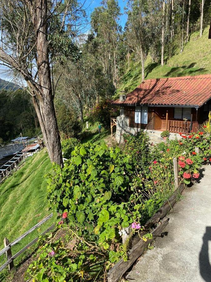 Cabanas Valle Del Cocora La Truchera Саленто Екстер'єр фото