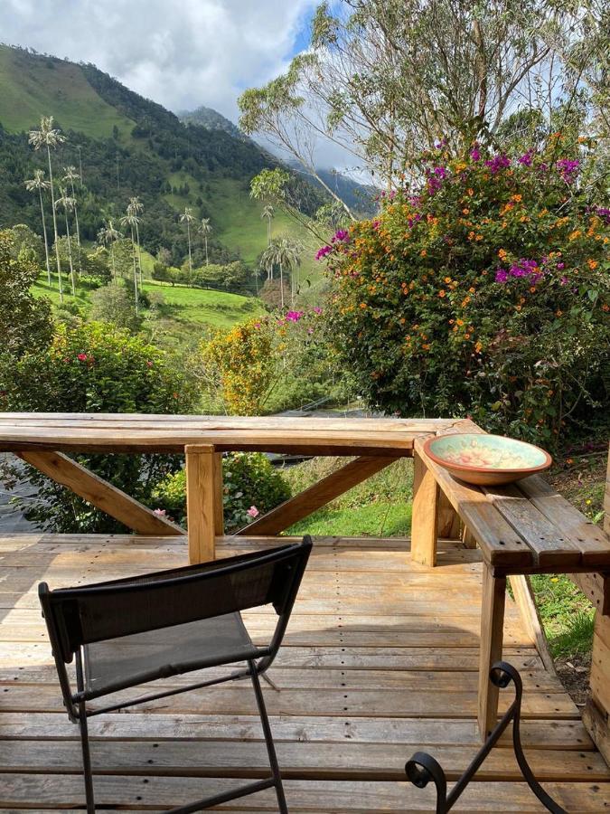 Cabanas Valle Del Cocora La Truchera Саленто Екстер'єр фото