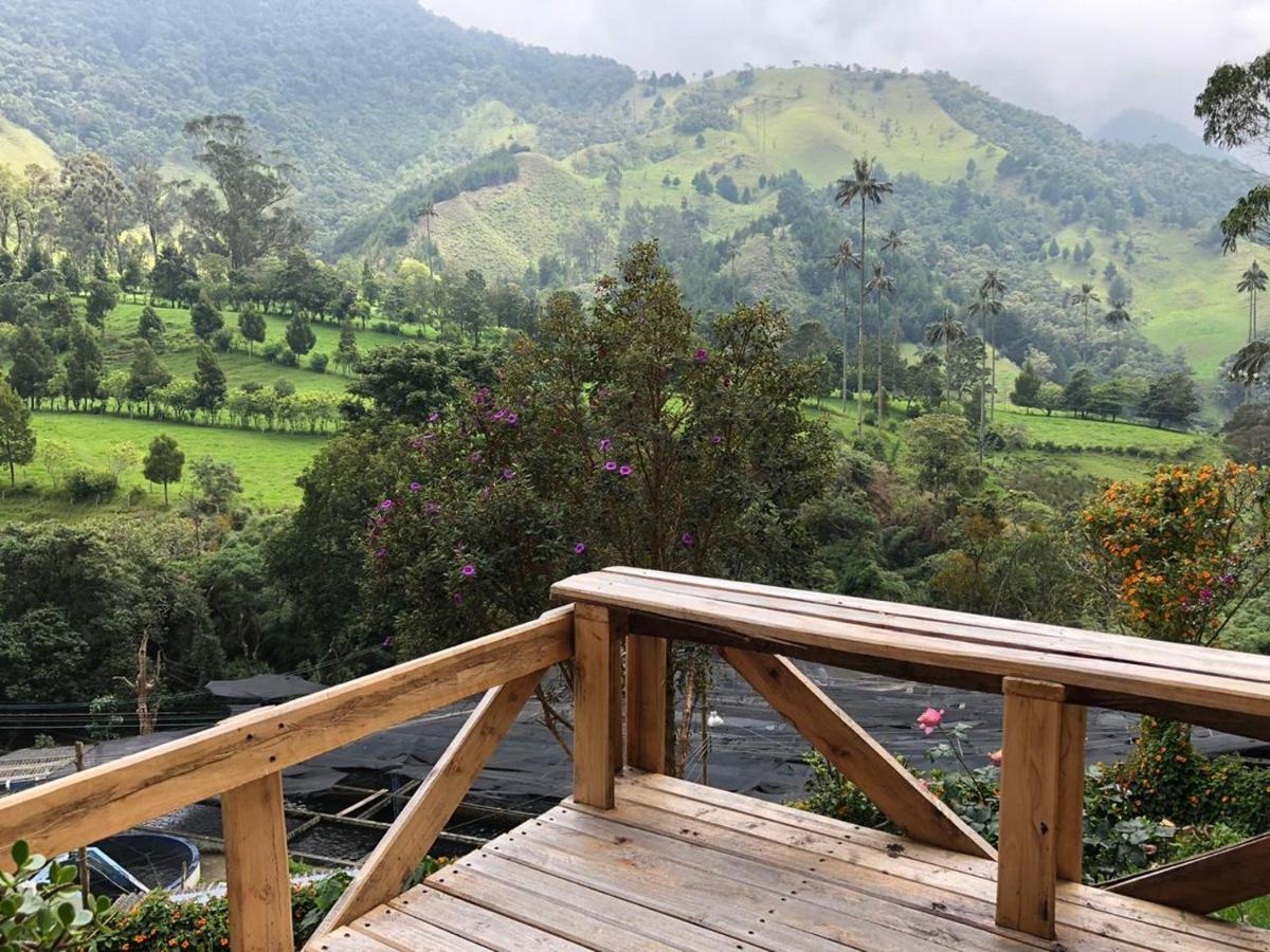 Cabanas Valle Del Cocora La Truchera Саленто Екстер'єр фото