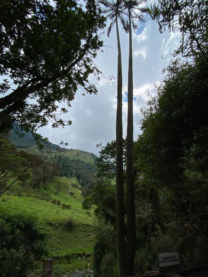 Cabanas Valle Del Cocora La Truchera Саленто Екстер'єр фото