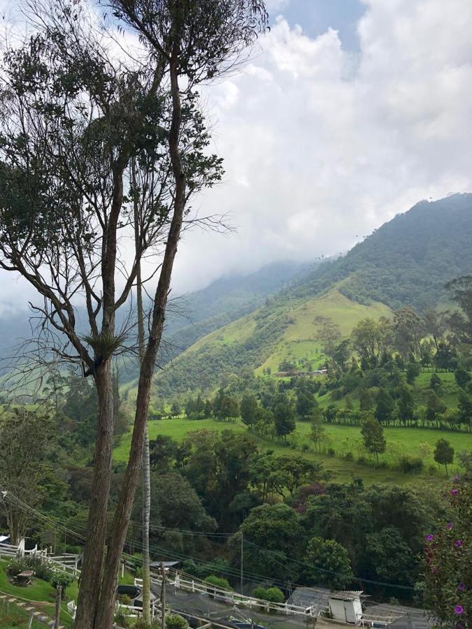 Cabanas Valle Del Cocora La Truchera Саленто Екстер'єр фото