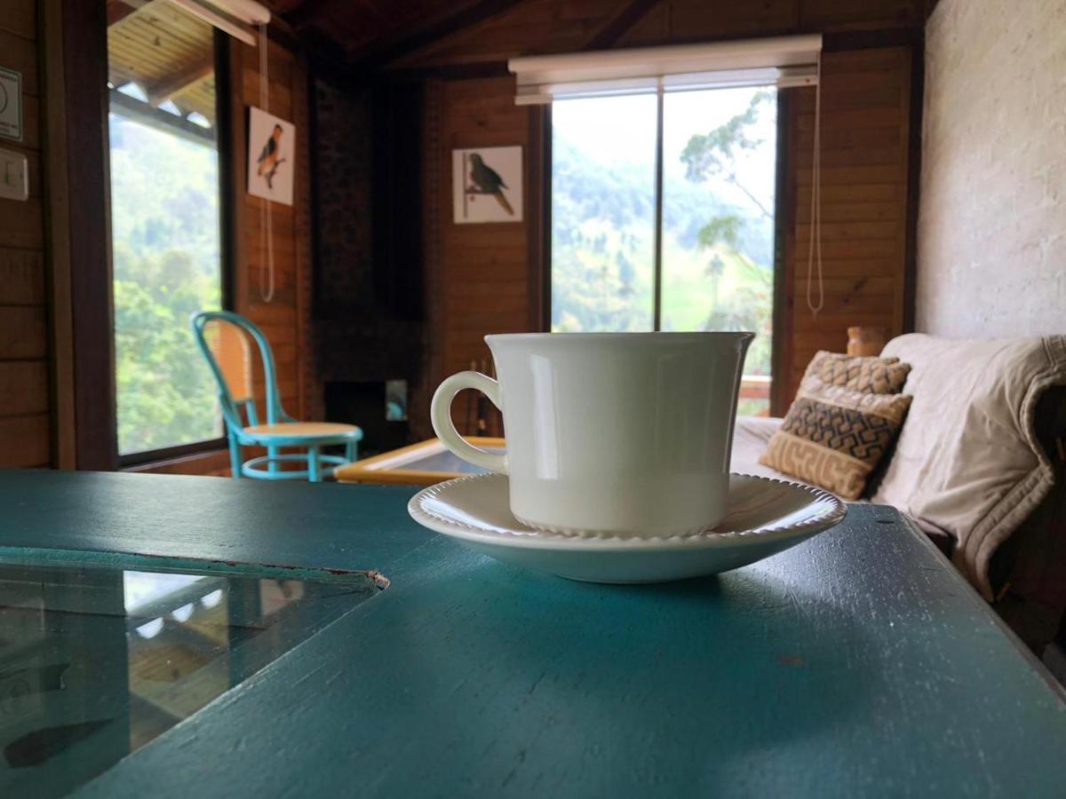 Cabanas Valle Del Cocora La Truchera Саленто Екстер'єр фото