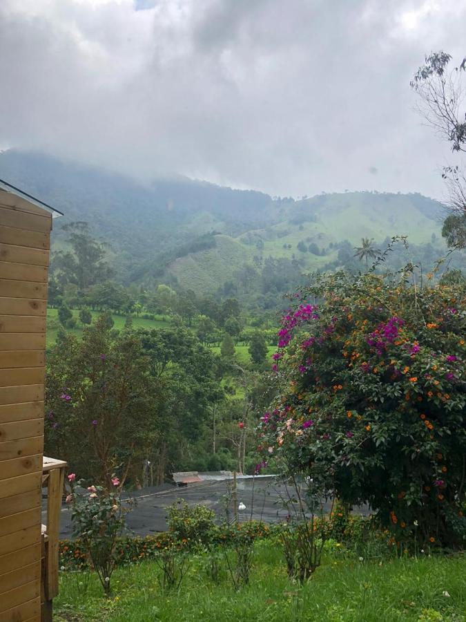 Cabanas Valle Del Cocora La Truchera Саленто Екстер'єр фото
